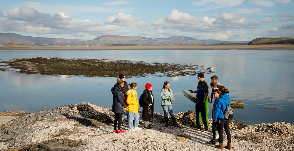 Sligo Oyster Experience
